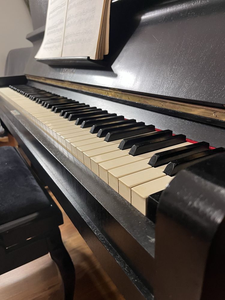 Pianino Legnica, idealne na start szkoły muzycznej