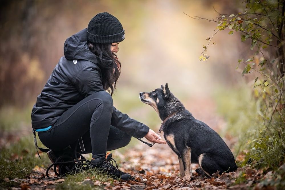 Kochany, czarny kundelek o którego w schronisku jest niewidzialny.