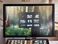 Monitor Dell 2407WFP  1920x1200