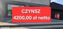 Lokal Na Wynajem *** Bez Pośredników ***