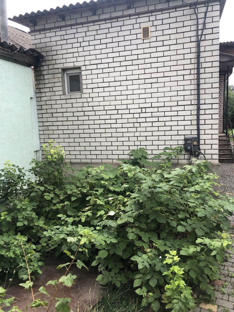 Продам дом на два входа на Слободке с землей