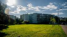 3 pokojowe dla studentów, na Czechowie