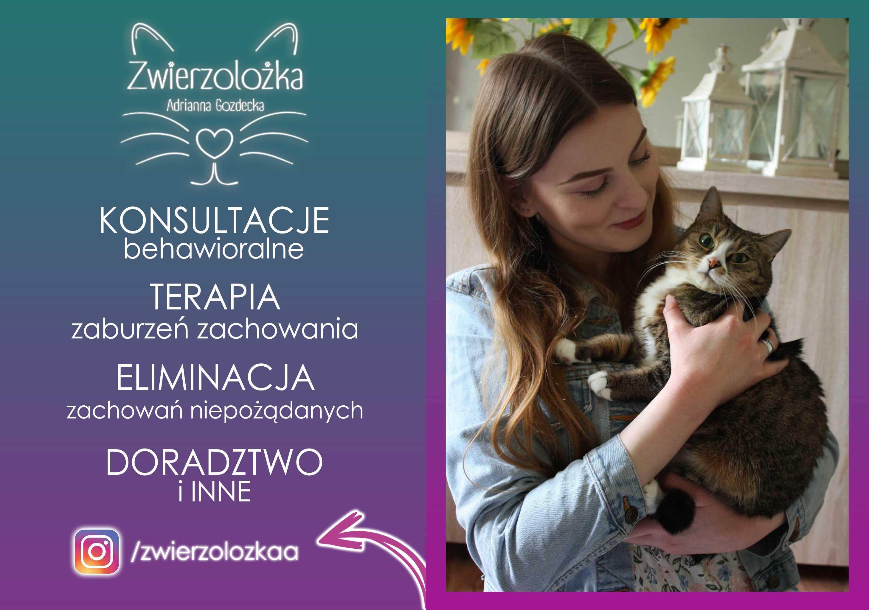 Behawiorysta zoopsycholog – Koty, Psy, Gryzonie
