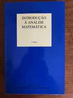 Introducao a analise Matematica