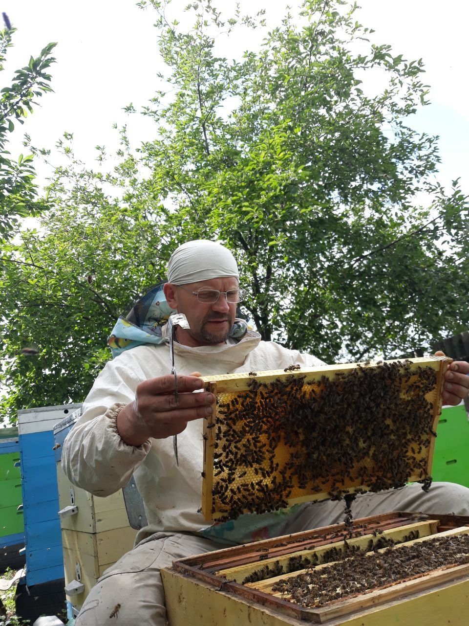 Бджолопакети , бджолосімї