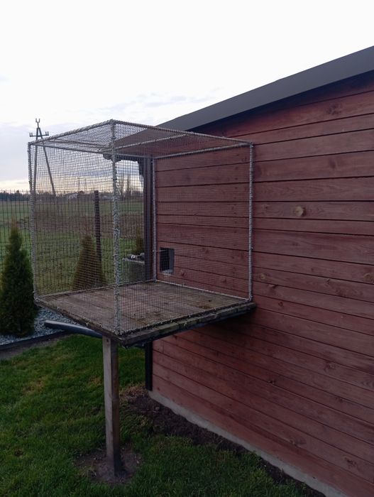 Woilerka klatka dla ptakow