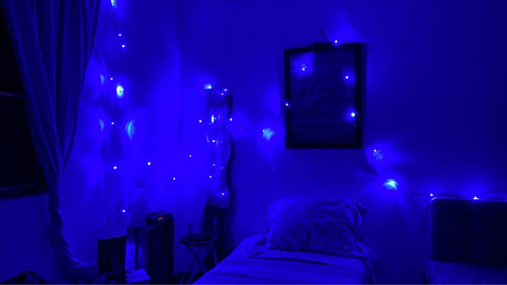Quarto partilhado em mini-quintinha – c/ animais e horta