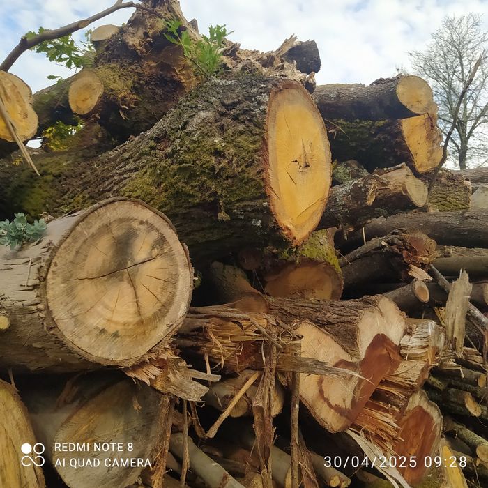 Lenha seca da melhor qualidade