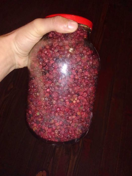 Продам брусницю та ягоди терену.