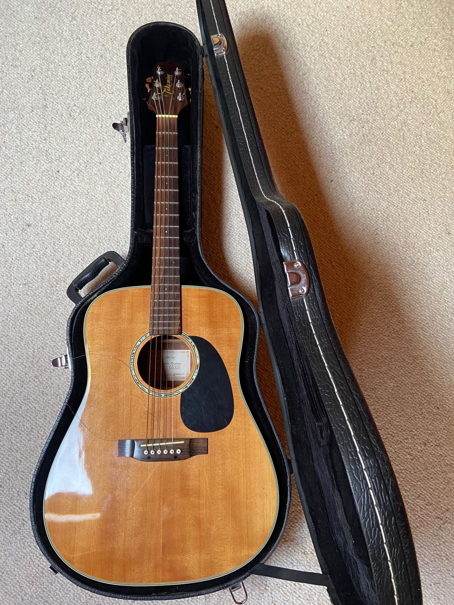 Takamine G530s gitara + futerał akustyczna