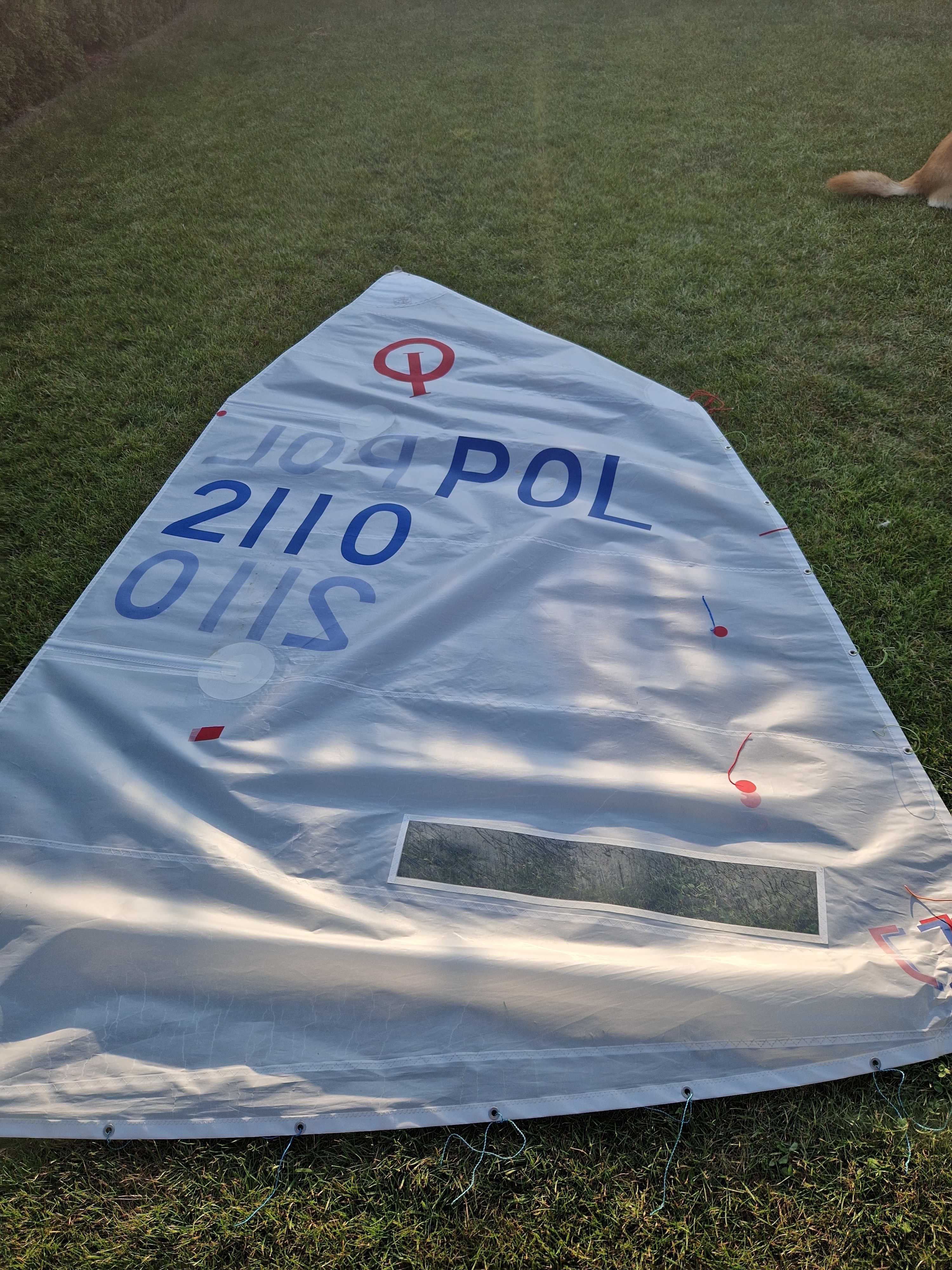 Optimist Carter Race z 2019r. kompletny zestaw regatowy.