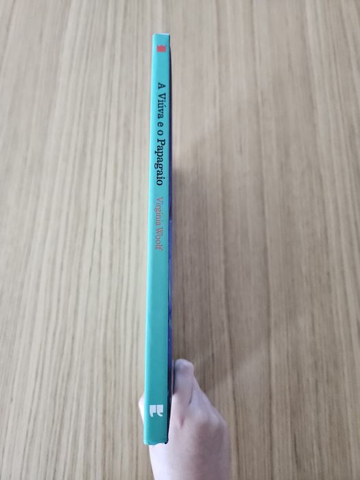 A viúva e o papagaio