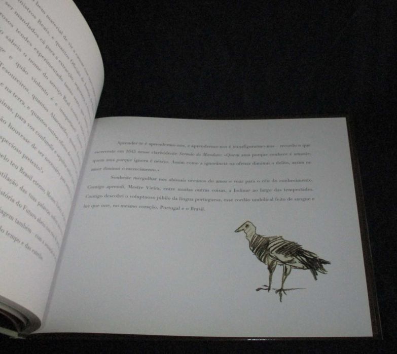 Livro No coração do Brasil Inês Pedrosa