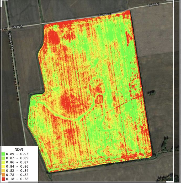 Badania gleby , dron, zdjęcia NDVI, badania azotu, szkody łowieckie