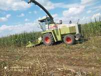Sprzedam sieczkarnie Claas Jaguar 690