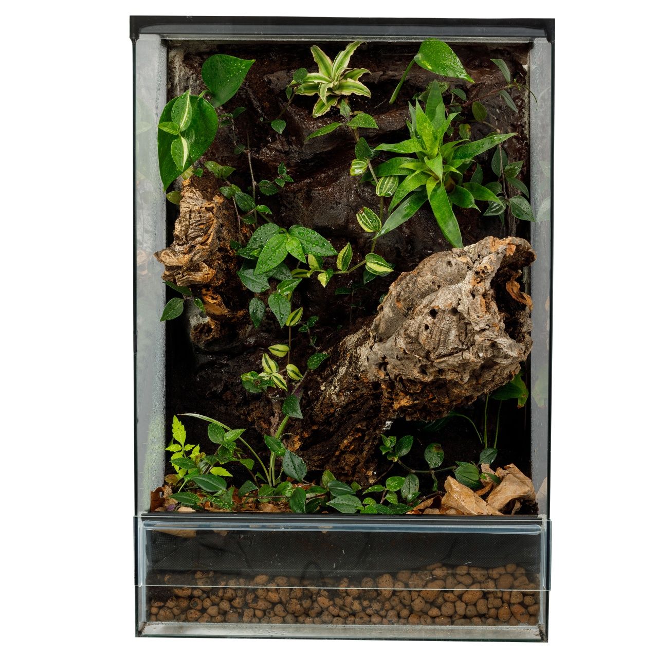 Terrarium tropikalne aktywne biologicznie