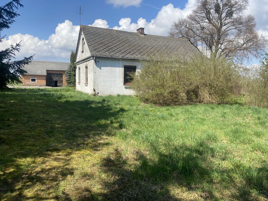 Dom, siedlisko z placem blisko S17 inwestycja