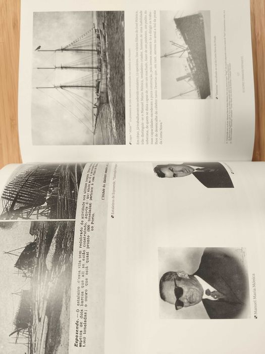 Os Últimos Terranovas Portugueses