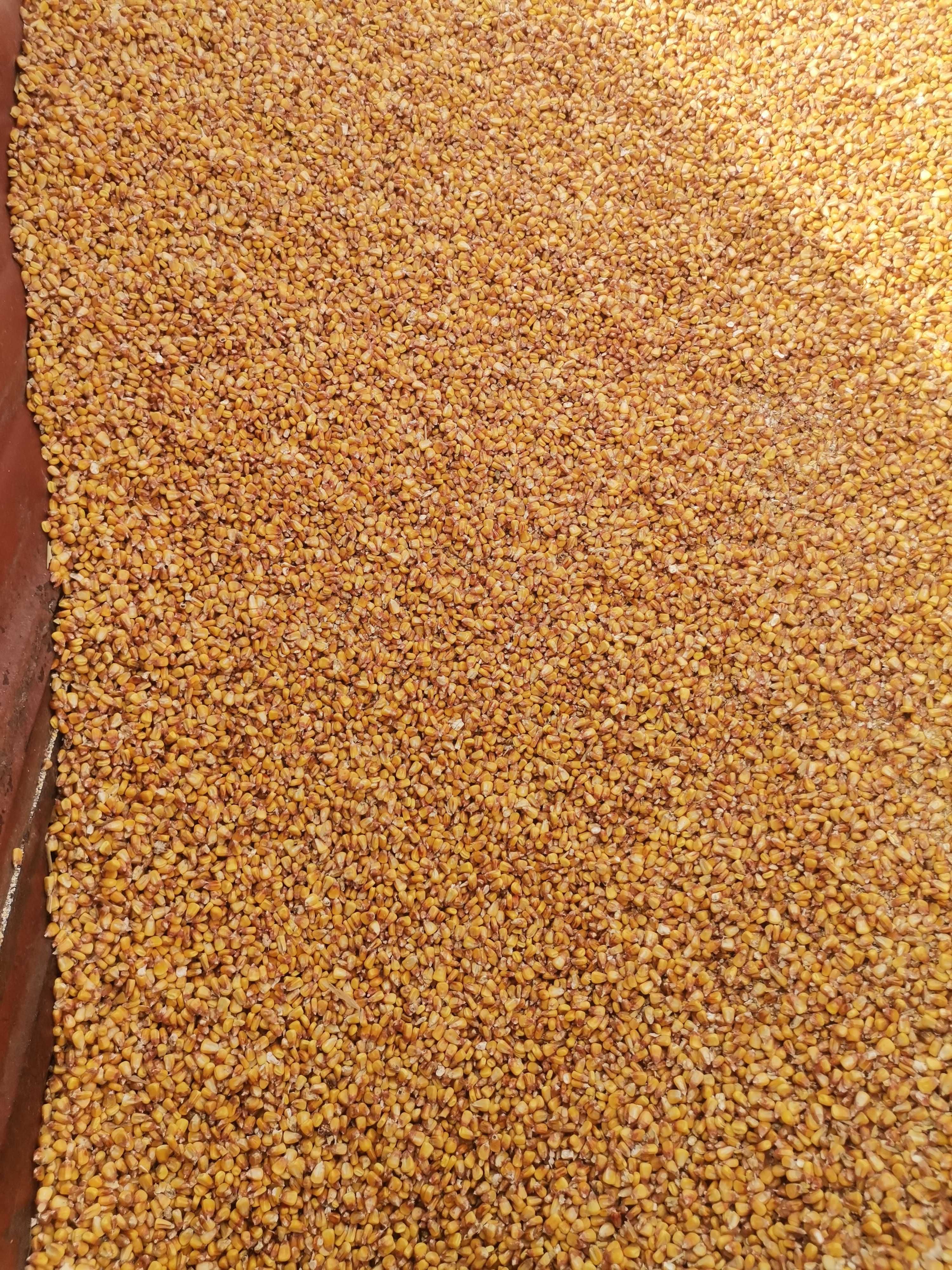 Białkowa 32-35% bigbag śruta sojowa rzepakowa ddgs ccm kukurydziany