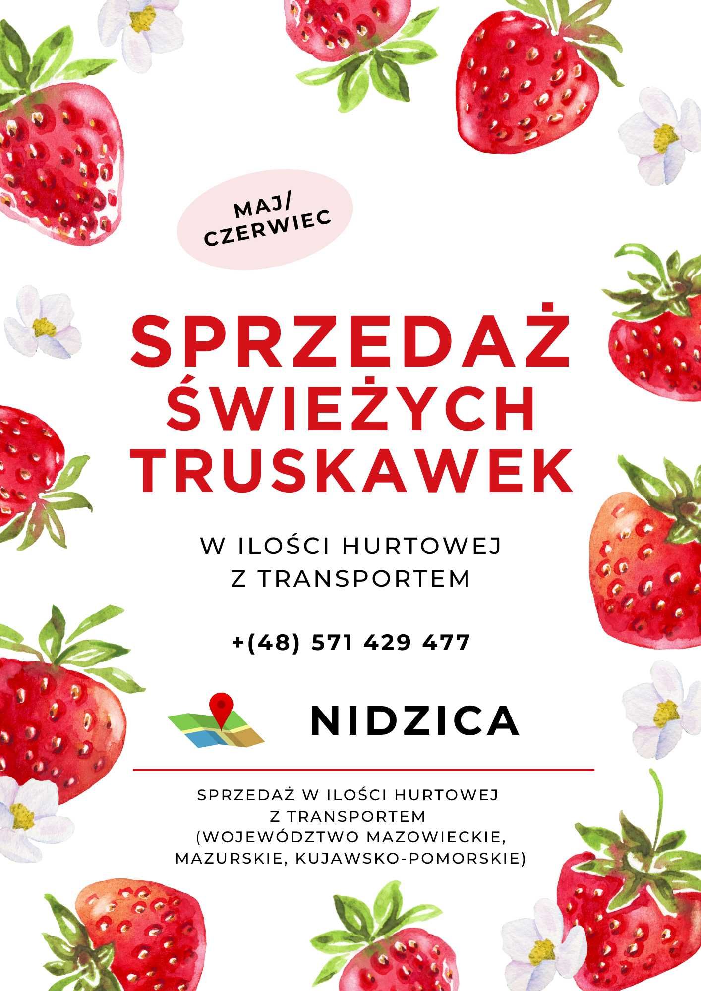 Świeże truskawki HURT