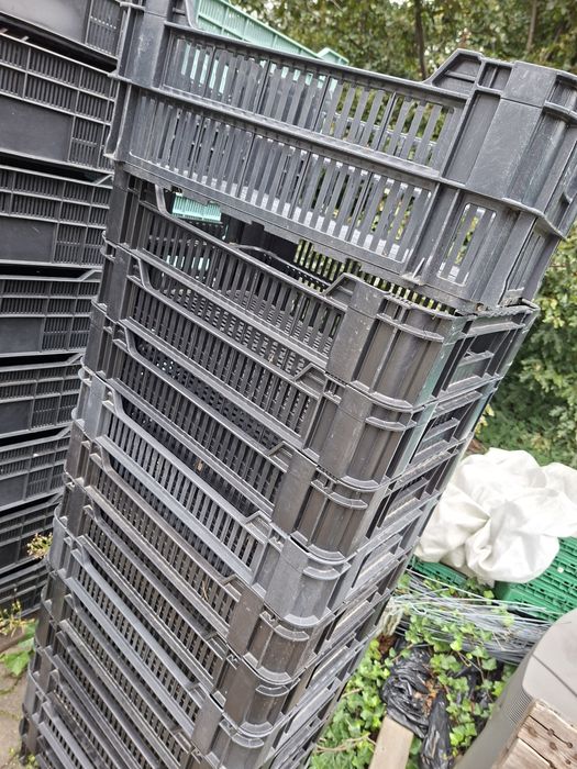 Skrzynki plastikowe owoce warzywa