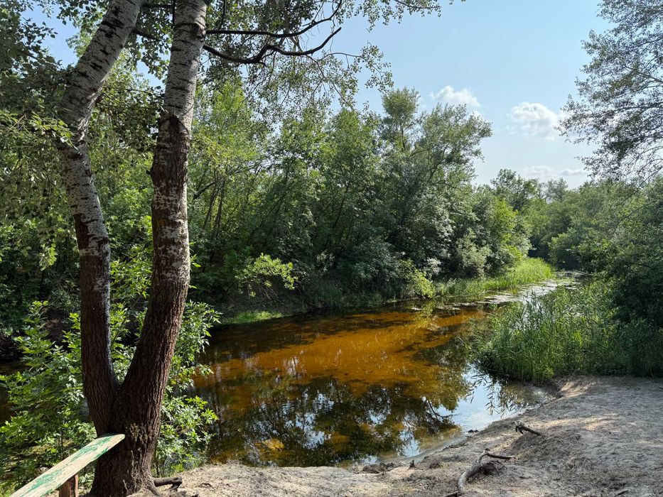 Продаж продам будинок в Царичанці Царичанка Центр Поділ ліс, річка