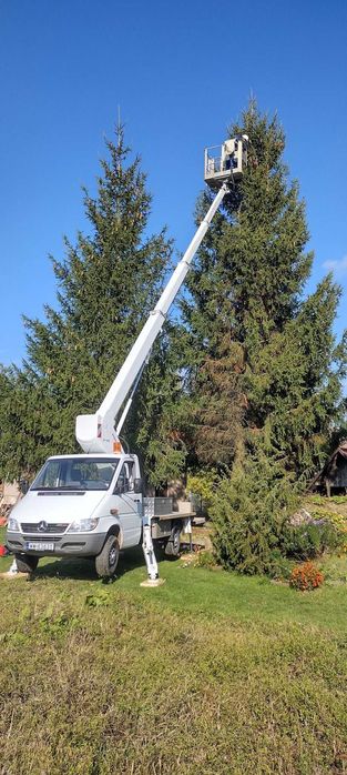 Zwyżka - Usługi podnośnikiem - Wycinka drzew - Operator podnośnika