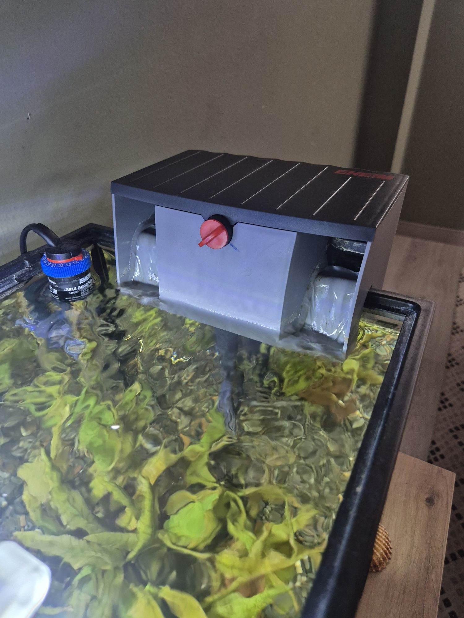 Aquário 60 L Completo