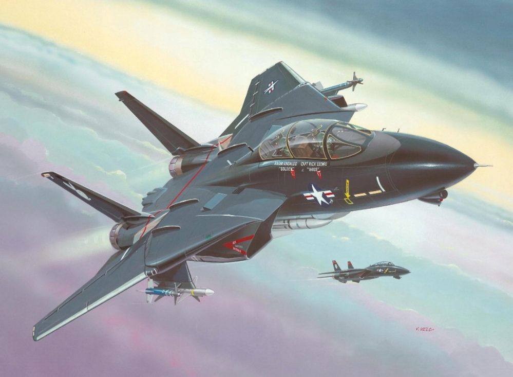 Model do sklejania Revell 04029 samolot Black Tomcat