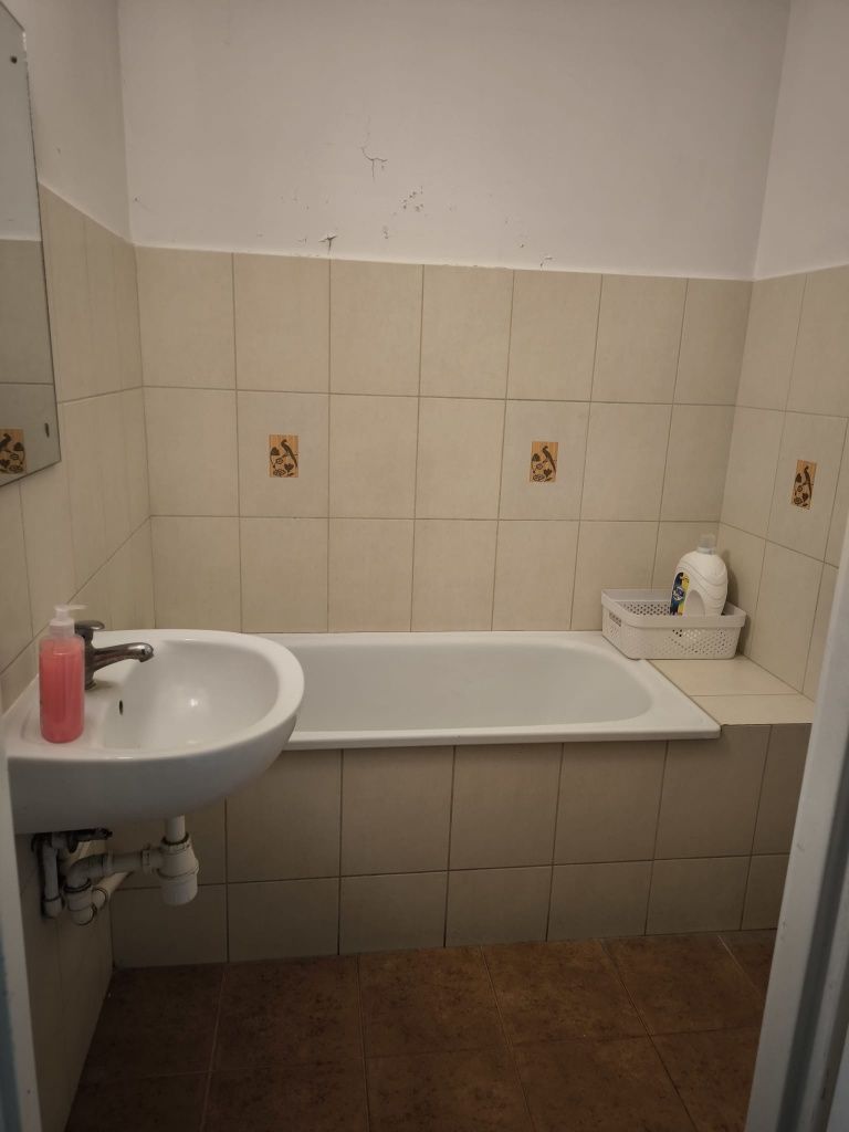 Pokój do wynajęcia