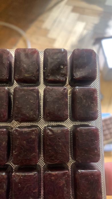 Mотиль артемія блістр 100 гр свіжа 30 таблеток