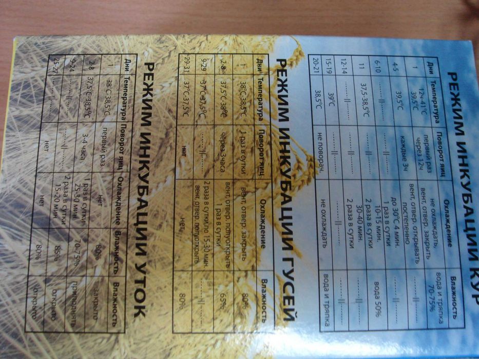 Терморегулятор в инкубатор