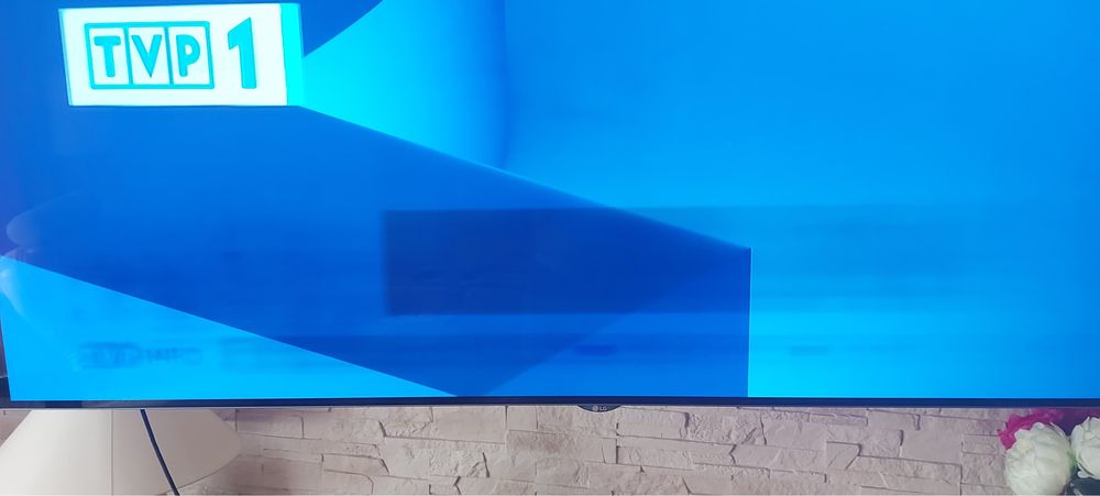 LG Oled 65 Uszkodzona Matryca