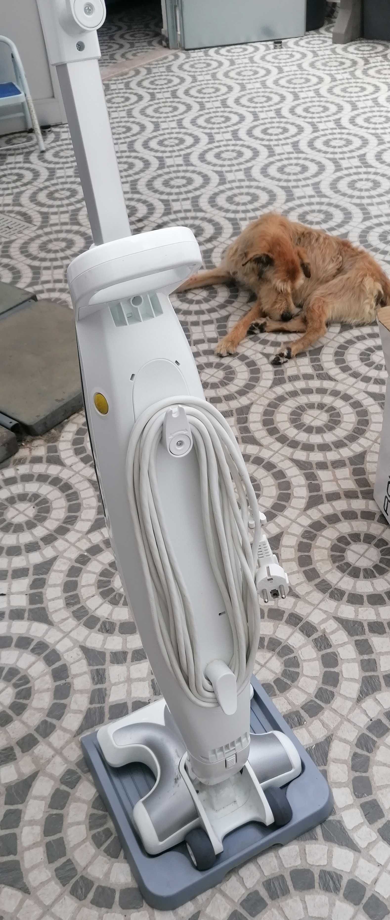 Aspirador vertical a vapor Rowenta com garantia