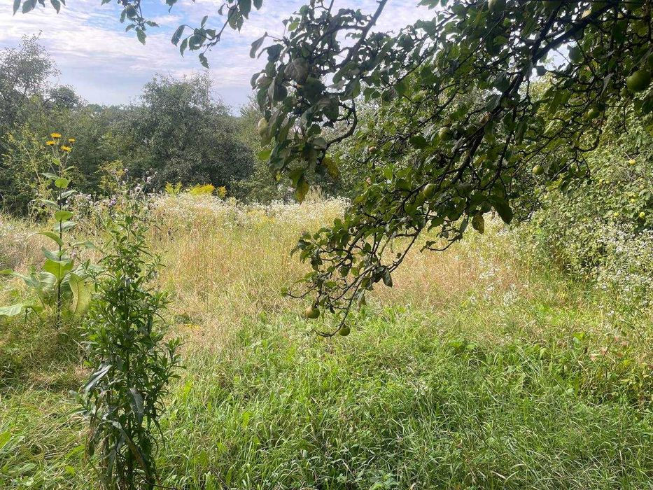 Продаж 2к будинку,підвал,мансарда,111 кв.м.,землі 7,8 сот,Лезнево!ТОРГ