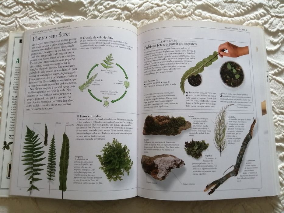 Coleção À Descoberta do Nosso Mundo - Seleções Reader's Digest