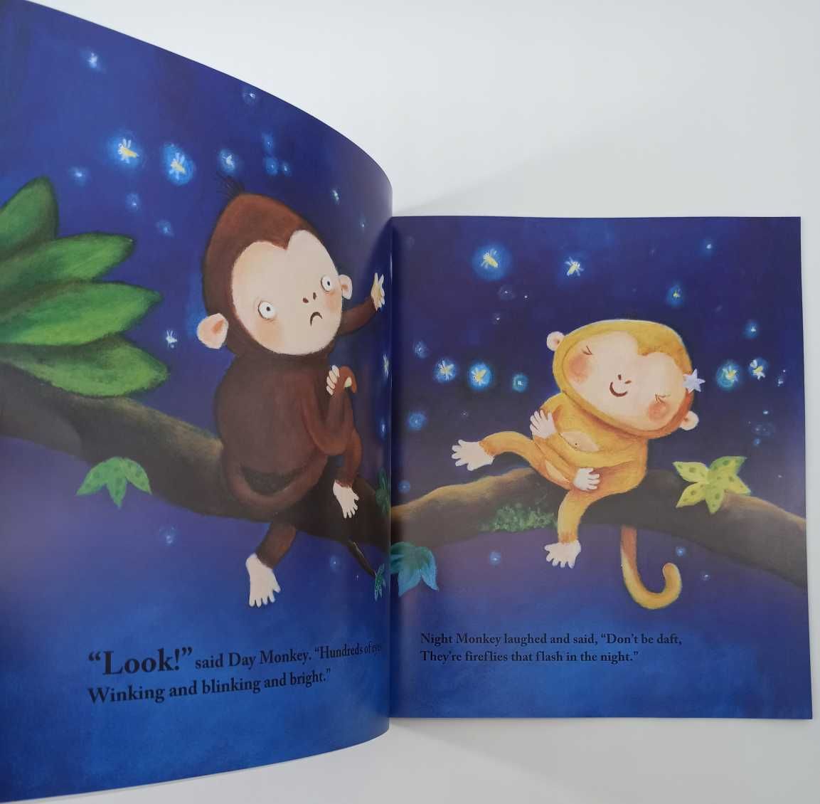 NOWA Night Monkey	Julia Donaldson książka po angielsku