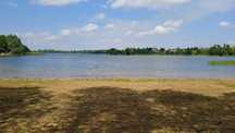 Wynajem/pole kempingowe i namiotowe/plaża/działka nad Jeziorem Lubotyń