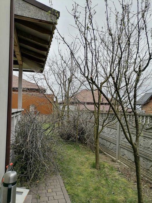 Послуги висоторізом, обрізка дерев та стрижка кущів