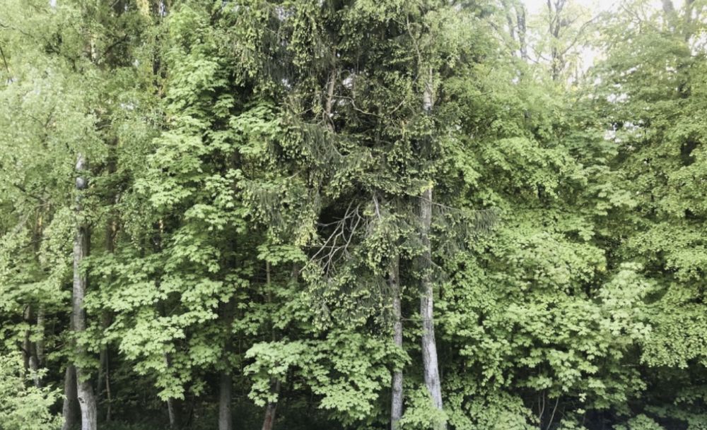 Dom dla pracownikow Koszalin Rokosowo