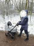 Wózek Cybex Priam Platinum 2.0 Koi 2w1
