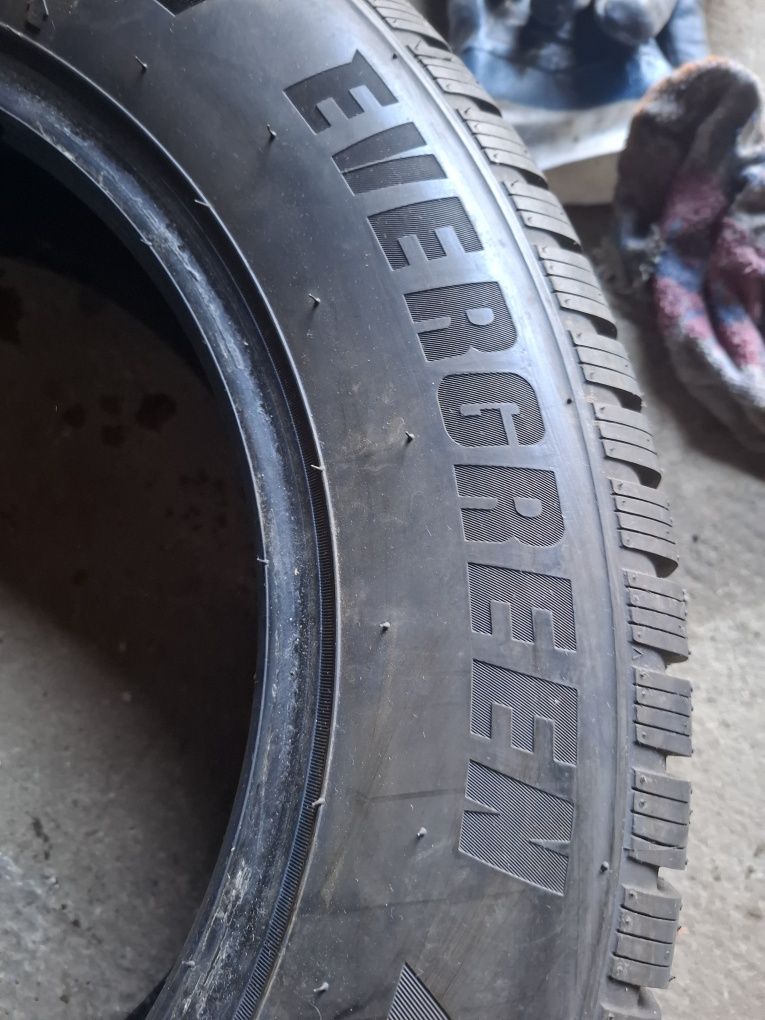 Opony całoroczne 185/65R15 Evergreen