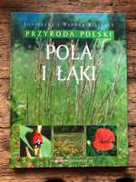 Przyroda Polski Pola i Łąki