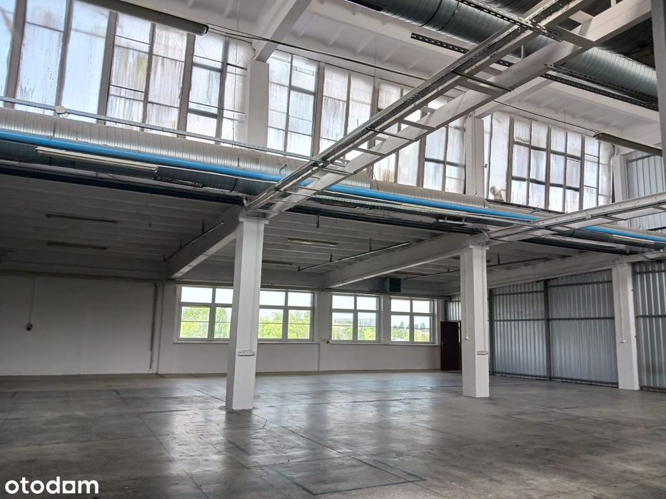 Do wynajęcia 1200 m2 Magazyn / Hala produkcyjna w Pabianicach S8 / S14