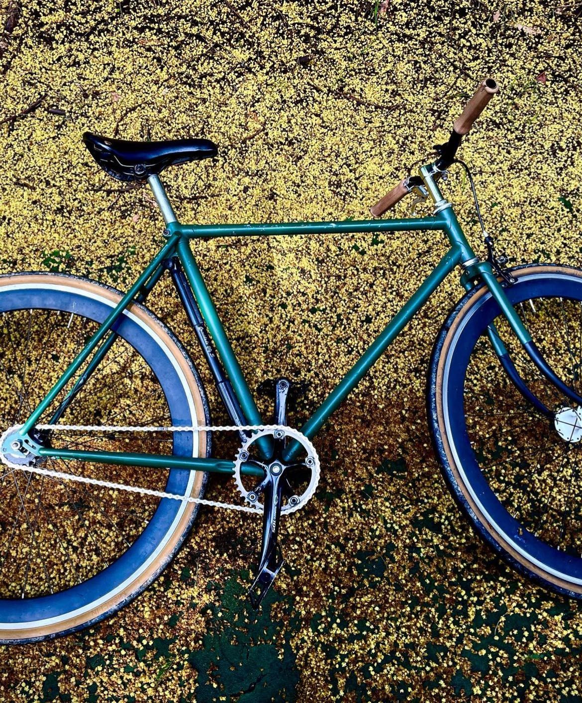 Bicicleta Fixie.