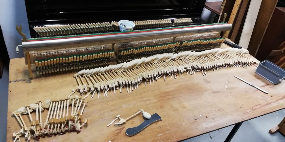 Stroiciel-Strojenie pianin i fortepianów,regulacja-konserwacja-naprawy