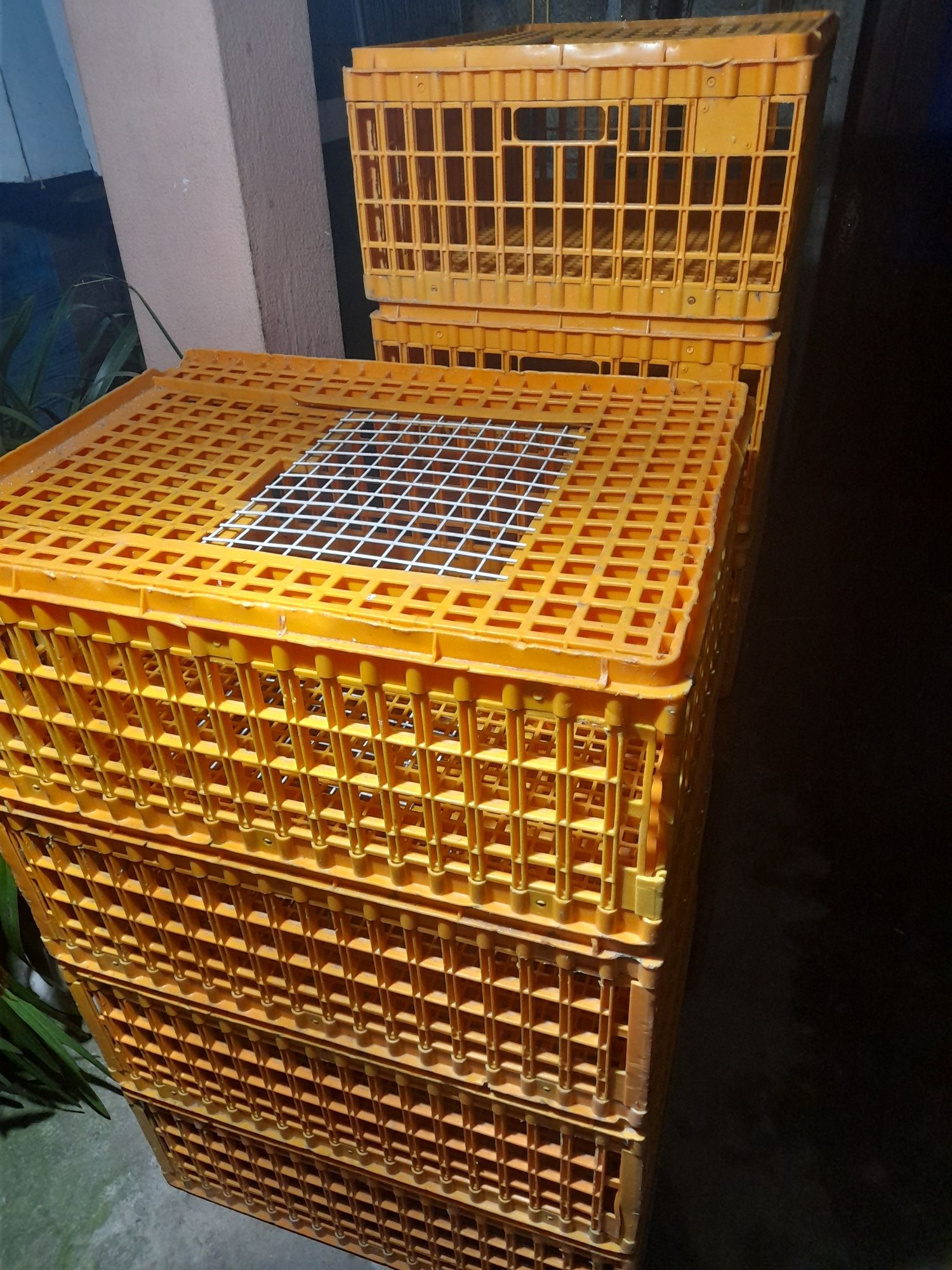 Jaulas de tramporte de aves
