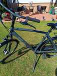 Rower Gazelle Vento meski (Damski)