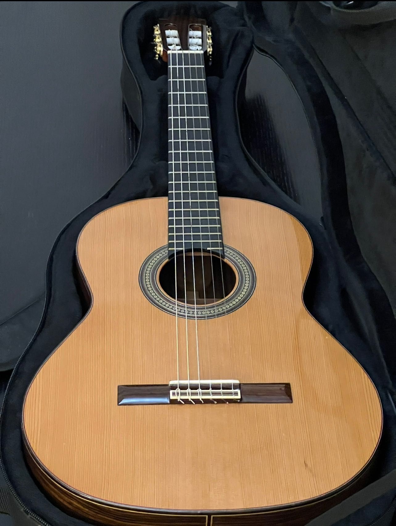Guitarra Paco Castillo 240