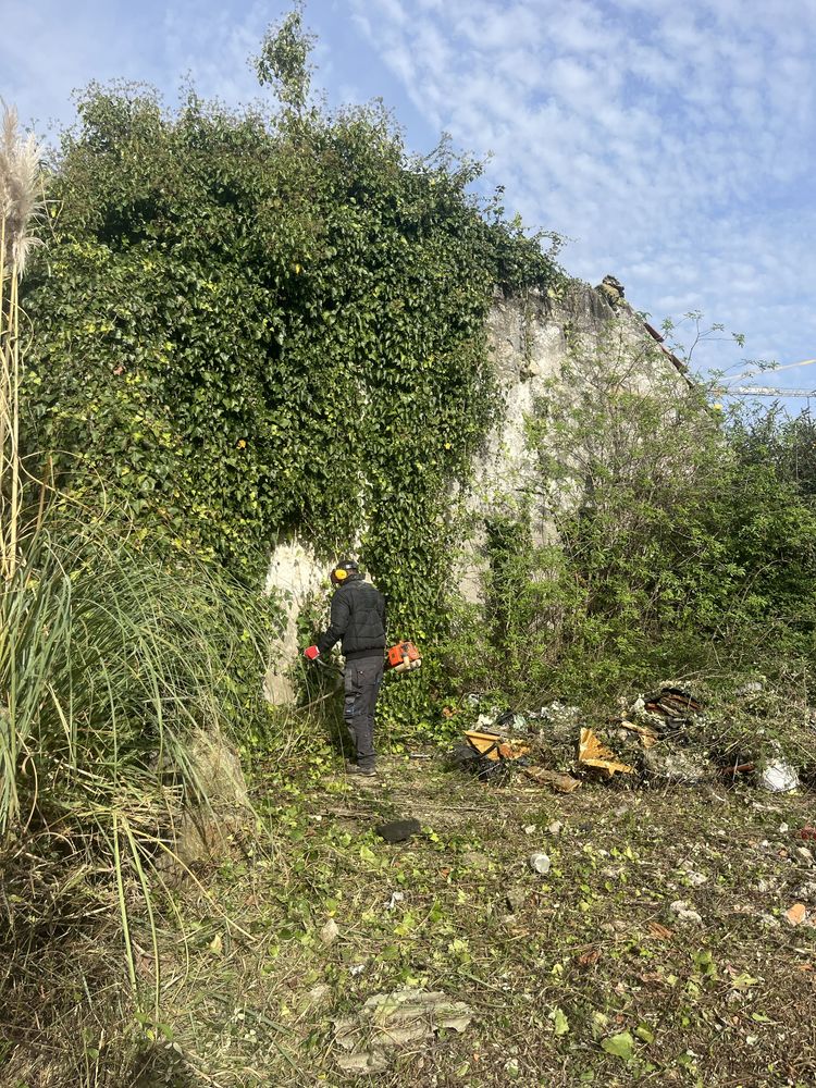 Limpeza de terrenos